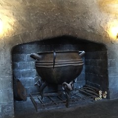 It's a cauldron with a crack in it. So this must be the Three Broomsticks, right?