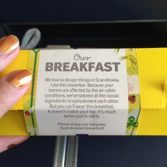 SAS has a sense of humour